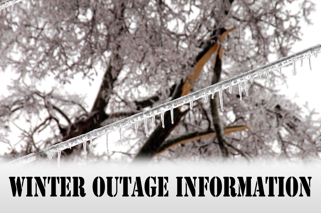 Salt River Electric Serving our members since 1937